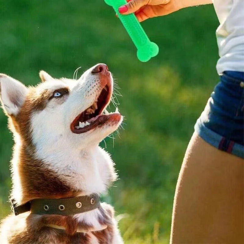 Brinquedos de Mastigar para Cães, Osso de Borracha para Mastigadores Agressivos, Escova de Dentes para Cachorros, Cuidados Dentários, Acessórios para Animais de Estimação.