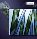 Serum Rejuvenescedor LumiGlow