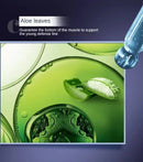 Serum Rejuvenescedor LumiGlow